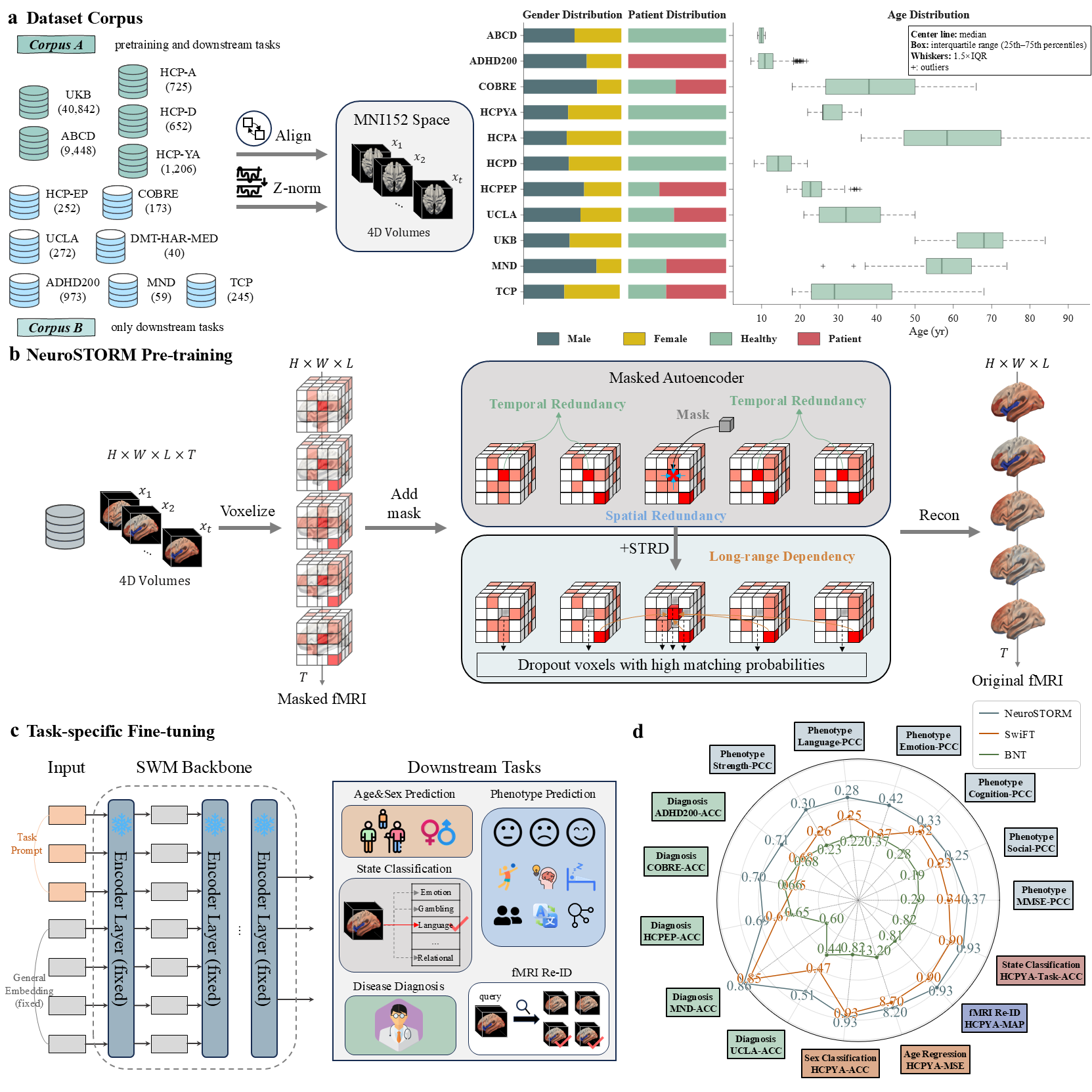 NeuroSTORM Pipeline Visualization