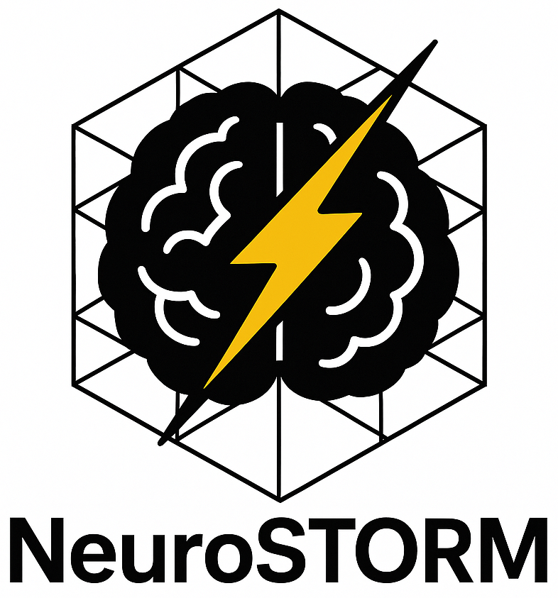 NeuroSTORM Icon